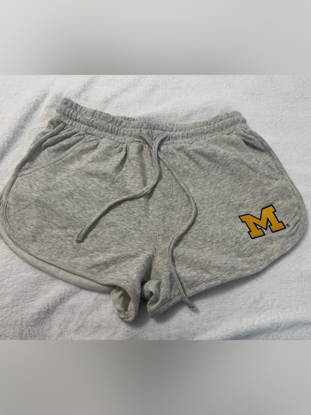 Hype & Vice Michigan Heather Gray Fleece Shorts Size L